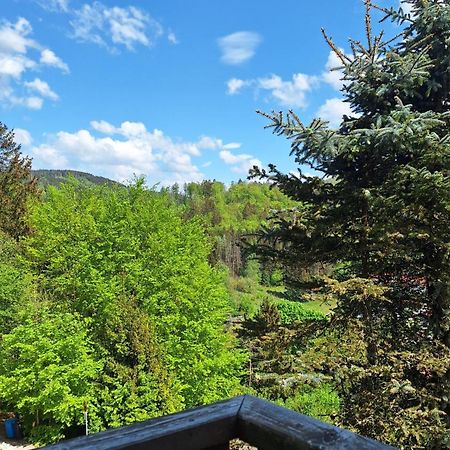 Appartamento Haus Westharz Goslar Bad Grund Esterno foto