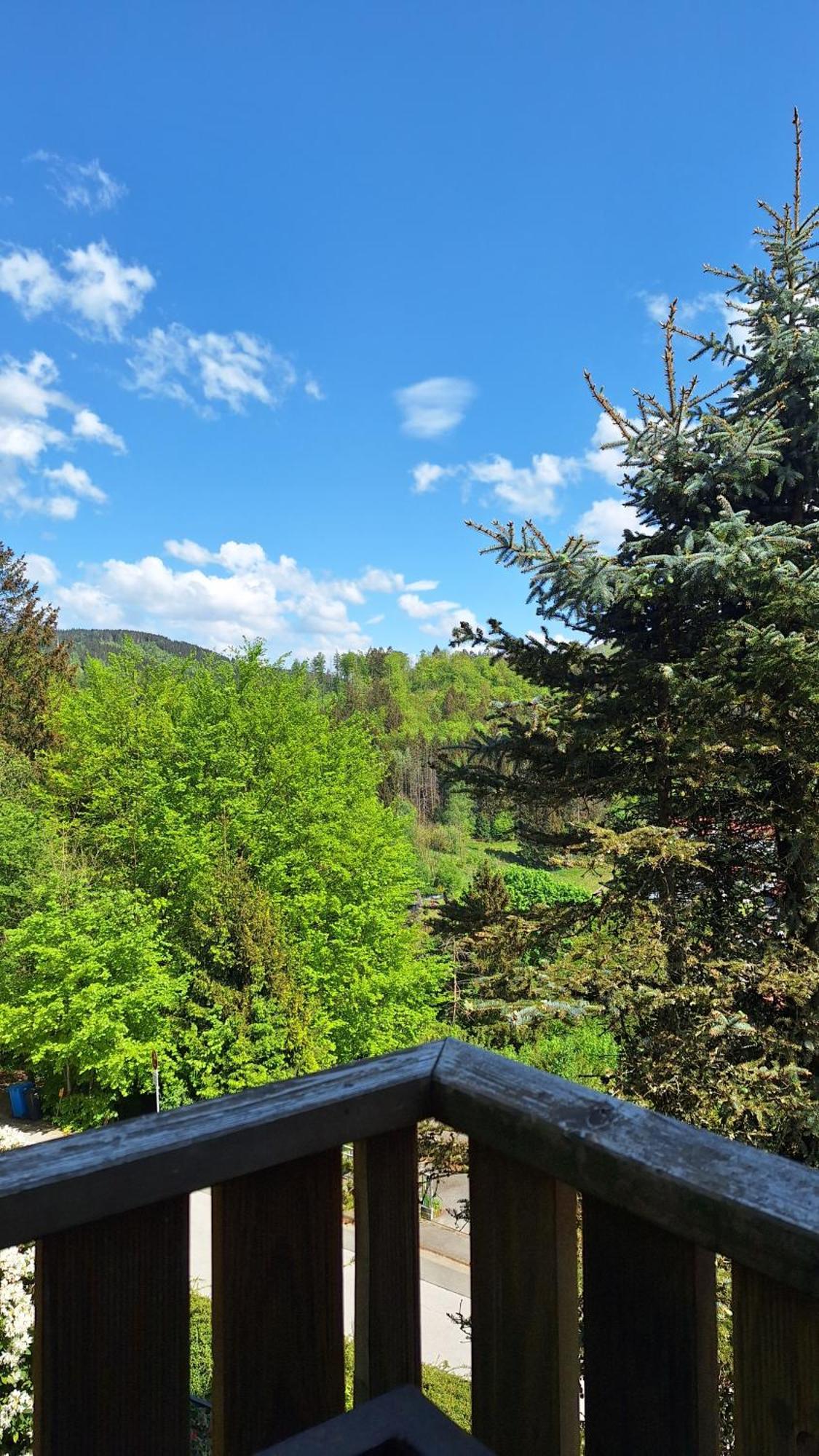 Appartamento Haus Westharz Goslar Bad Grund Esterno foto