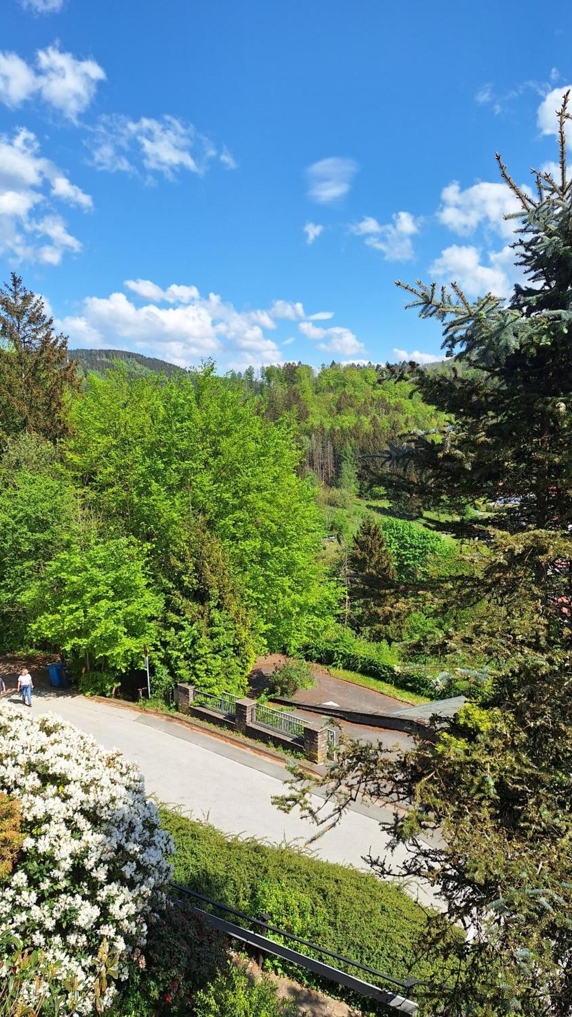 Appartamento Haus Westharz Goslar Bad Grund Esterno foto